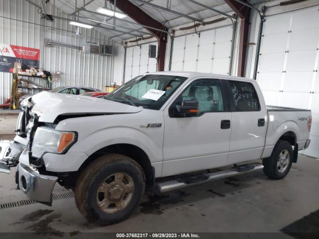 1FTFW1EF7EFA38020 Ford F-150 Xl/xlt/stx/fx4/lariat