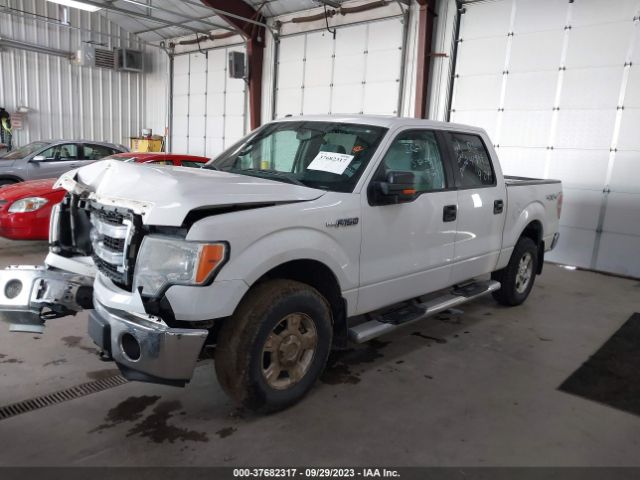 1FTFW1EF7EFA38020 Ford F-150 Xl/xlt/stx/fx4/lariat
