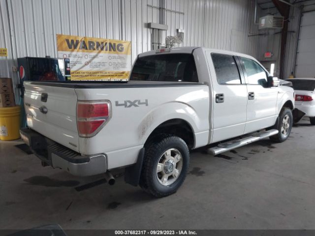 1FTFW1EF7EFA38020 Ford F-150 Xl/xlt/stx/fx4/lariat