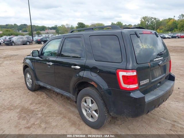 2011 FORD ESCAPE XLT VIN: 1FMCU0D71BKC18489