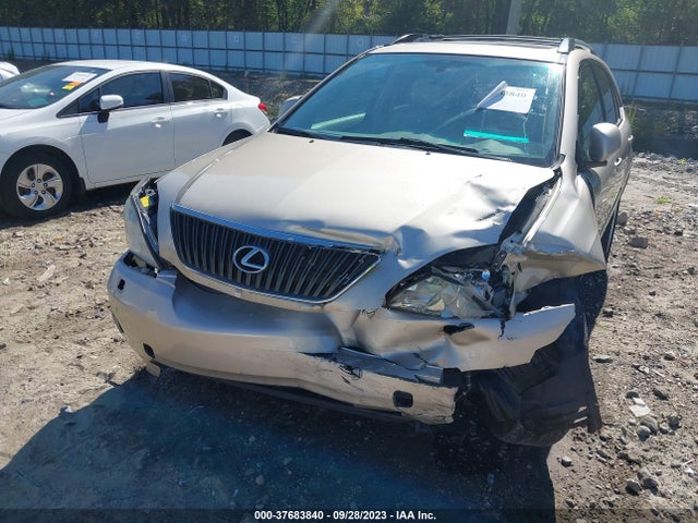 2007 LEXUS RX 350 VIN: 2T2GK31U07C022510