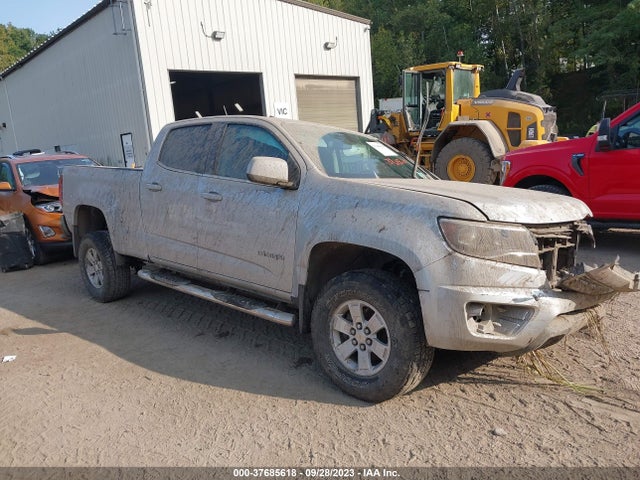 Chevrolet Colorado 4wd Work Truck 2019 1GCGTBEN7K1168155 Image 1