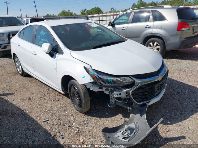 2019 1G1BE5SM3K7118313 main image