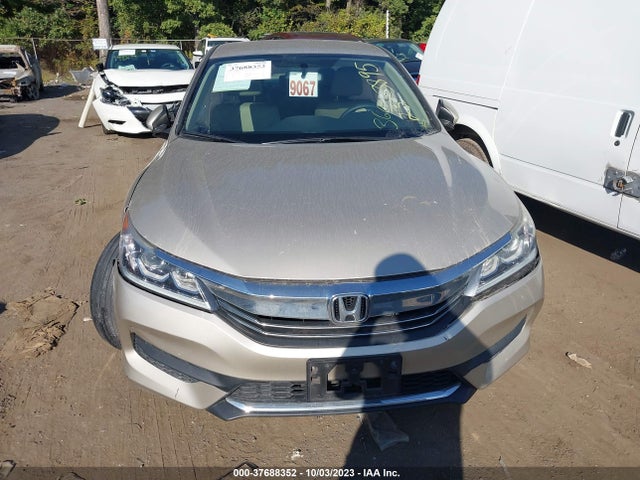 Honda ACCORD LX 2016 1HGCR2F30GA013594 Image 12