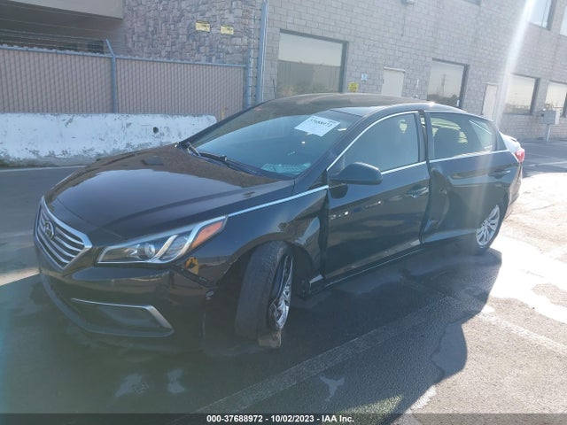 Hyundai Sonata 2.4l Se 2016 5NPE24AF4GH312880 Image 2