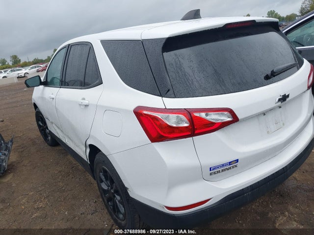 Chevrolet EQUINOX LS 2019 3GNAXHEVXKS633546 Image 3