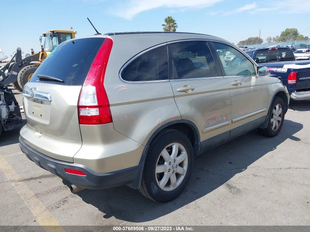 2008 HONDA CR-V EX-L VIN: JHLRE487X8C036101