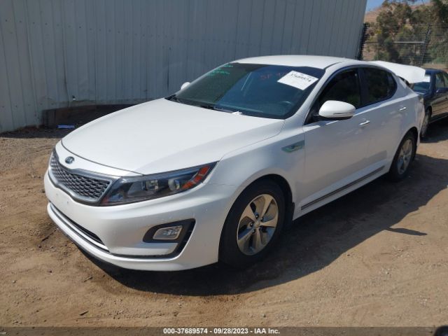 KNAGM4AD1G5096081 KIA OPTIMA HYBRID