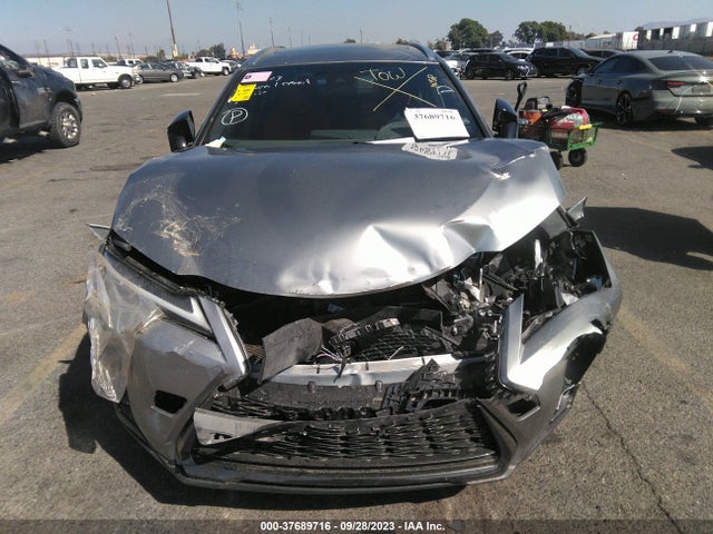 2019 Lexus UX, VIN: JTHU9JBH5K2019309