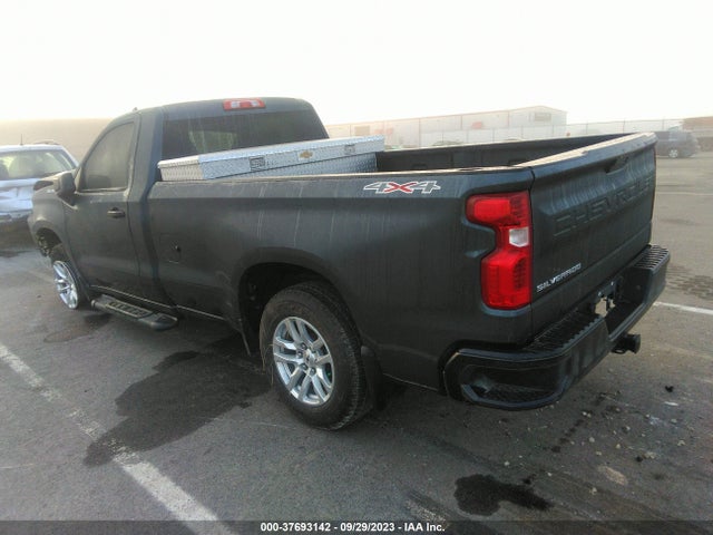 2019 CHEVROLET SILVERADO 1500 WORK TRUCK VIN: 3GCNYAEF5KG100482