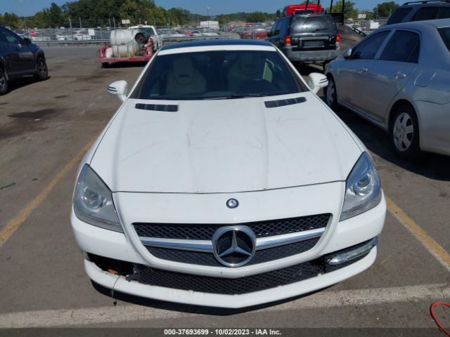 WDDPK4HA2FF098831 Mercedes-Benz Slk-class Slk 250