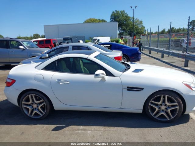 WDDPK4HA2FF098831 Mercedes-Benz Slk-class Slk 250