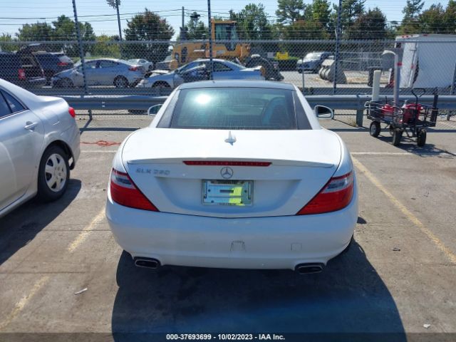 WDDPK4HA2FF098831 Mercedes-Benz Slk-class Slk 250