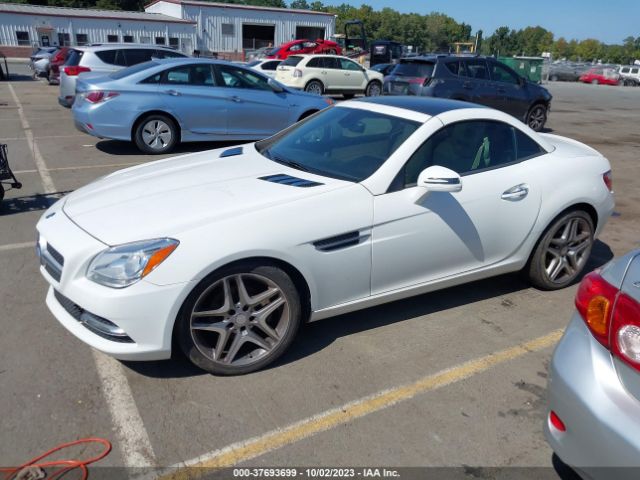 WDDPK4HA2FF098831 Mercedes-Benz Slk-class Slk 250