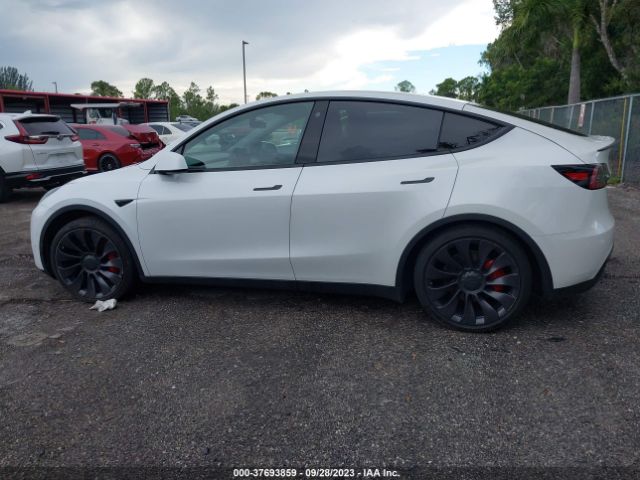 5YJYGDEF4MF251954 Tesla Model Y Performance
