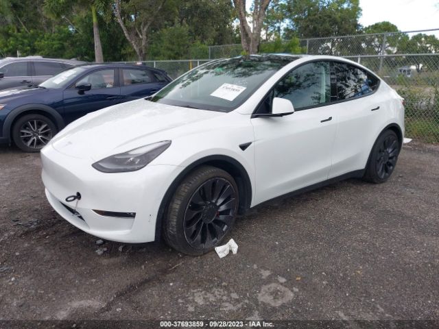 5YJYGDEF4MF251954 Tesla Model Y Performance