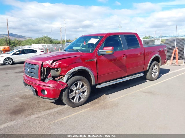 2010 FORD F-150 XL/XLT/FX4/LARIAT VIN: 1FTFW1EV7AFC23055