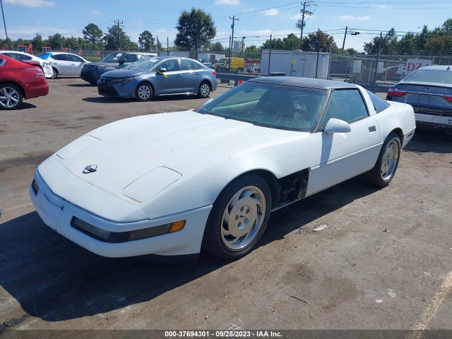 1995 CHEVROLET CORVETTE VIN: 1G1YY22P0S5101281