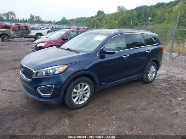 5XYPGDA51HG190800 KIA Sorento Lx V6