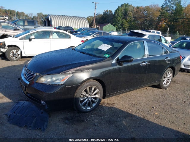 2009 LEXUS ES 350 VIN: JTHBJ46G492340494
