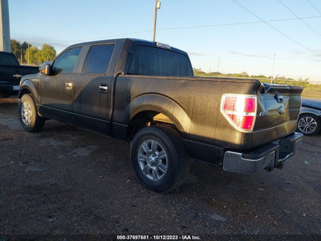 2010 FORD F-150 XL/XLT/FX2 SPORT VIN: 1FTEW1C86AFC90710