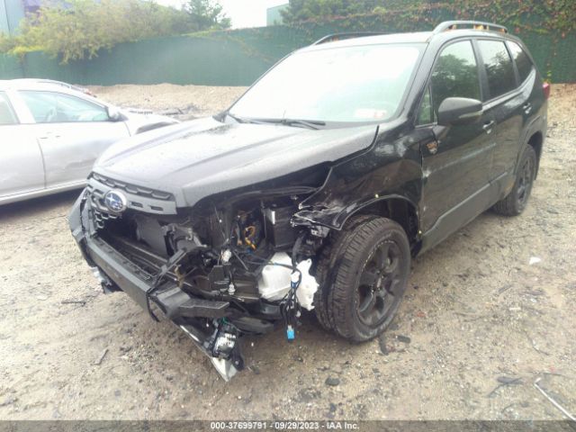 JF2SKAMC0PH430427 Subaru Forester Wilderness
