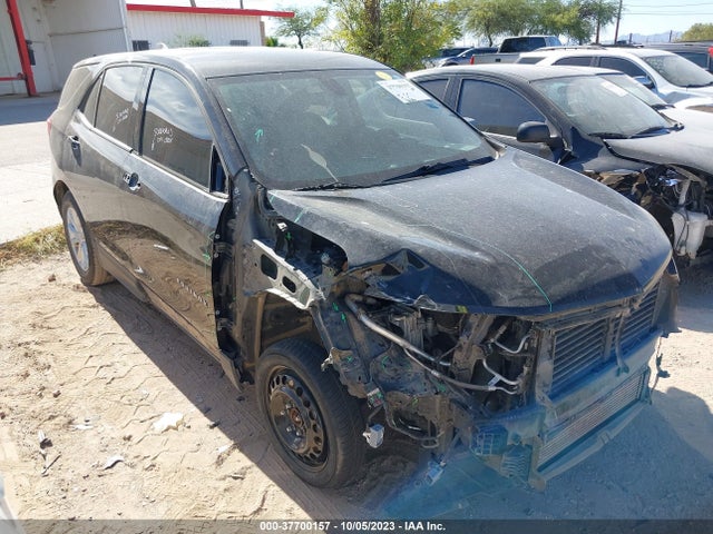 Chevrolet EQUINOX LS 2019 2GNAXHEV7K6252641 Image 1