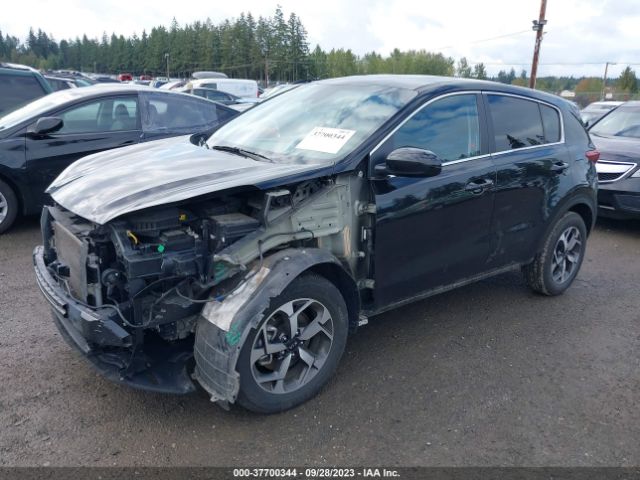 KNDPM3ACXN7981742 KIA Sportage Lx