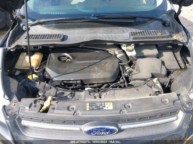 Ford ESCAPE SE 2014 1FMCU0GX9EUD98812 Image 10