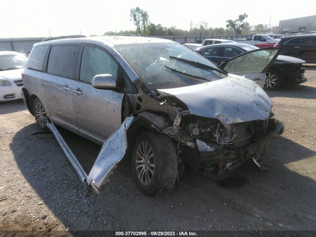 2019 5TDYZ3DCXKS976351 main image