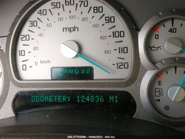 2004 BUICK RAINIER CXL VIN: 5GADT13S342441774