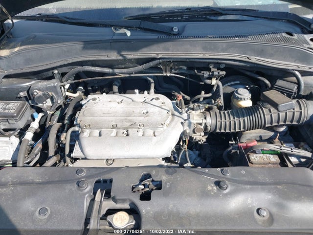 2005 HONDA PILOT EX-L VIN: 5FNYF18515B008365