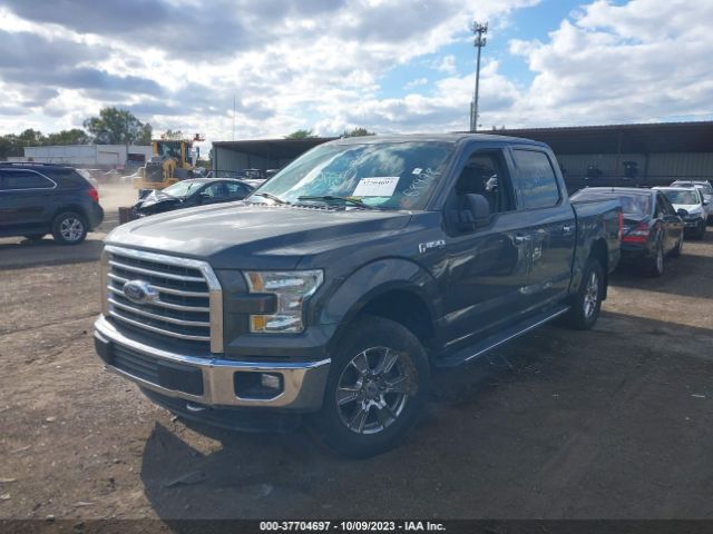 1FTEW1EF8FFA68978 Ford F-150 Xlt/xl/lariat/platinum