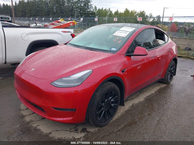 2023 TESLA MODEL Y LONG RANGE VIN: 7SAYGAEE5PF699455