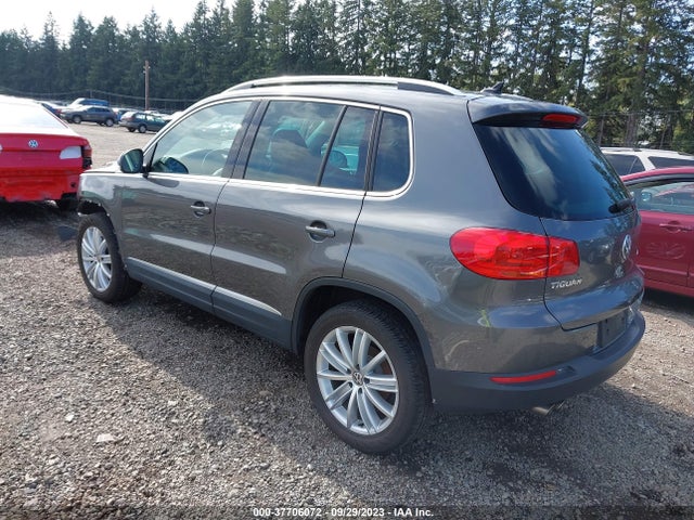 WVGBV3AX0EW505043 Volkswagen Tiguan Sel