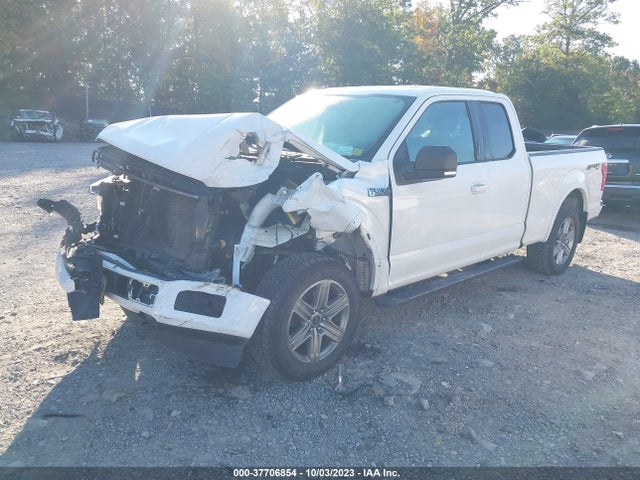 Ford F-150 Xl/xlt/lariat 2018 1FTEX1EP1JFB61842 Image 2