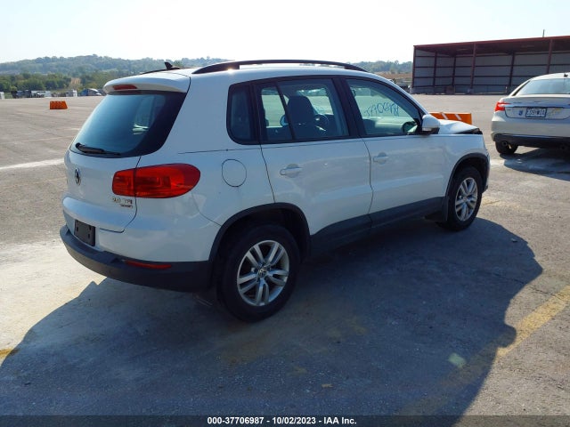 WVGBV7AXXFW561077 Volkswagen TIGUAN S