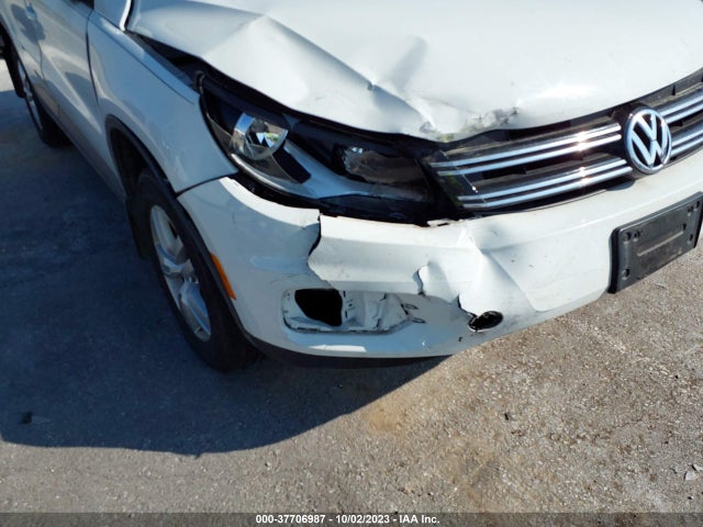 WVGBV7AXXFW561077 Volkswagen TIGUAN S