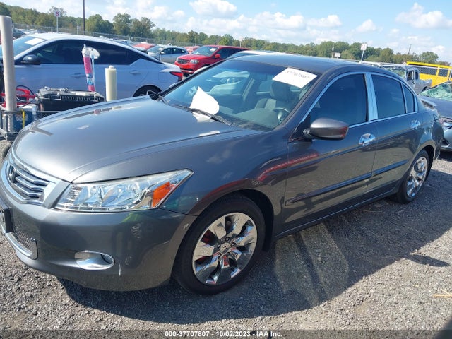 2009 HONDA ACCORD SDN EX-L VIN: 1HGCP36889A005639