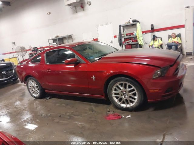 1ZVBP8AM1E5313568 Ford Mustang V6