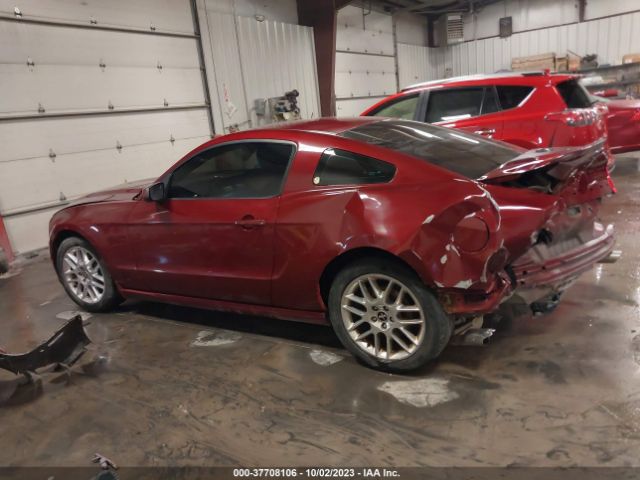 1ZVBP8AM1E5313568 Ford Mustang V6