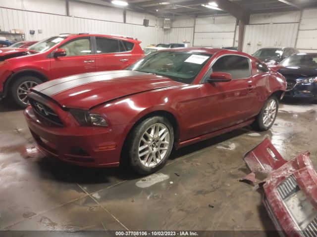 1ZVBP8AM1E5313568 Ford Mustang V6