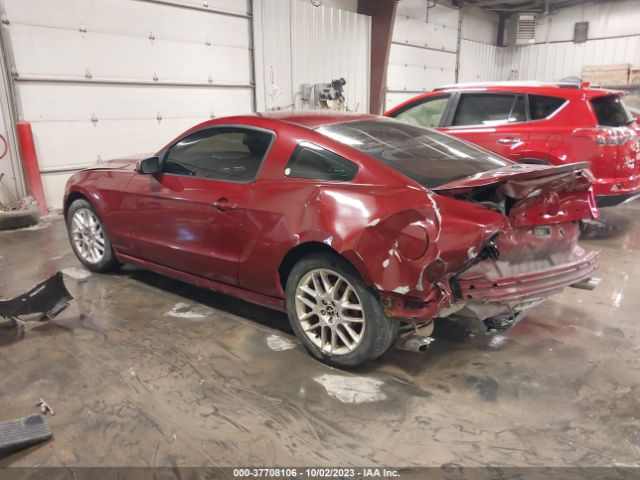 1ZVBP8AM1E5313568 Ford Mustang V6