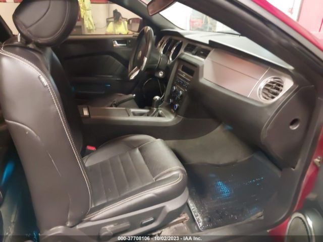 1ZVBP8AM1E5313568 Ford Mustang V6