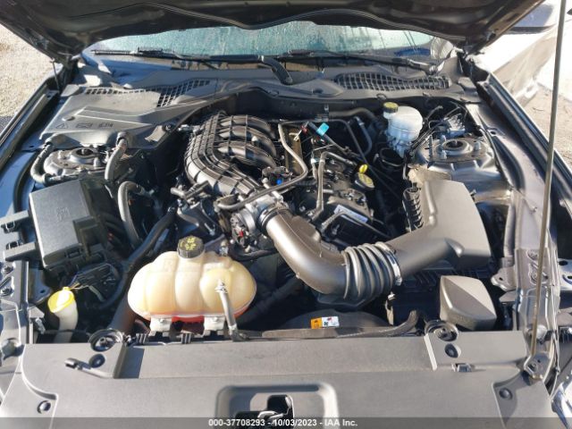1FA6P8AM1H5309339 Ford Mustang V6