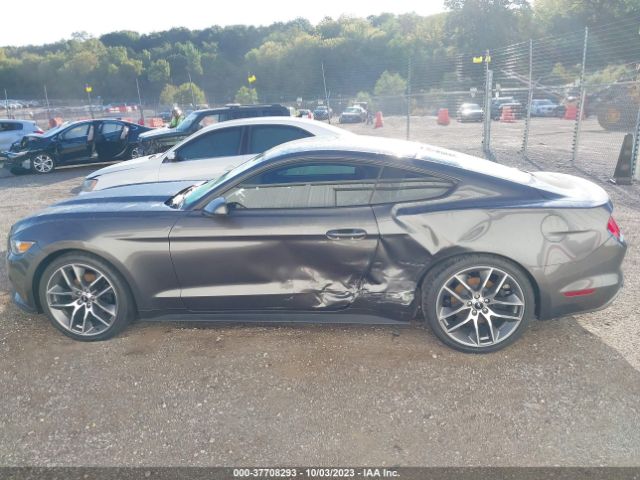 1FA6P8AM1H5309339 Ford Mustang V6