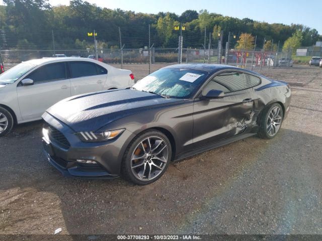 1FA6P8AM1H5309339 Ford Mustang V6