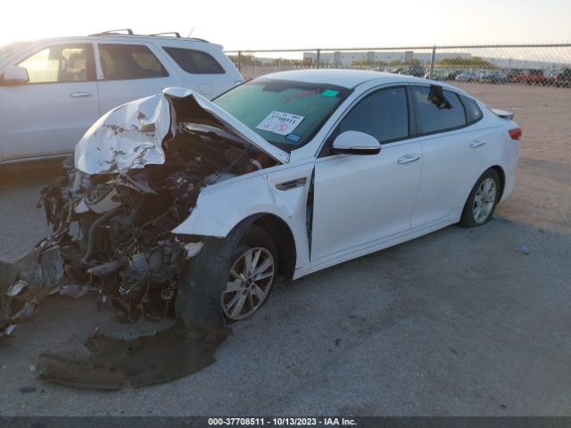 5XXGT4L3XGG035981 KIA Optima Lx