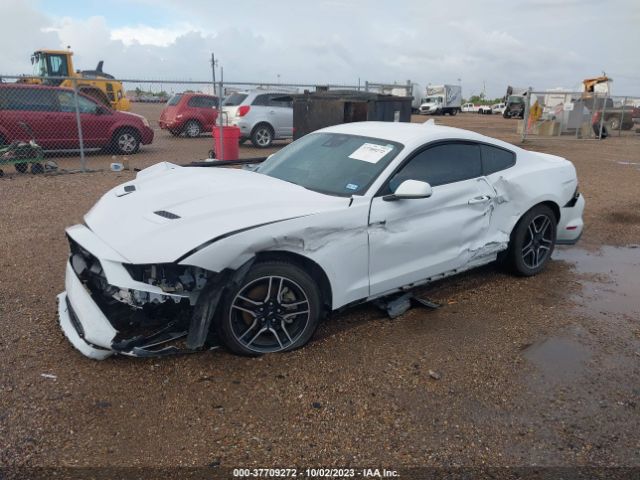 2022 FORD MUSTANG 1FA6P8THXN5116361 Photo 1