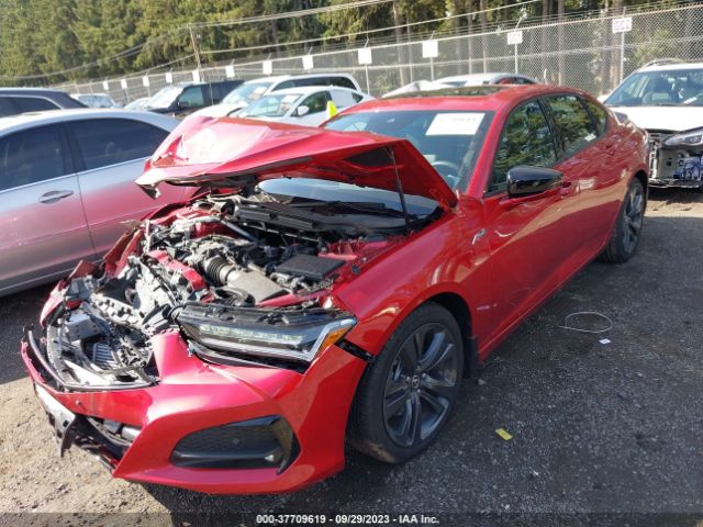 19UUB6F55PA002575 Acura Tlx W/a-spec Package
